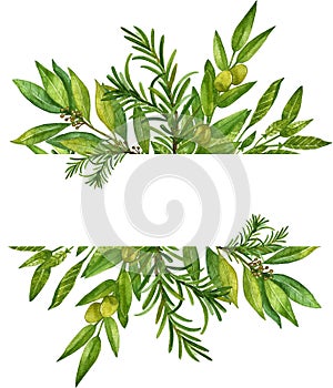 Watercolor herb illustration. A bunch of fresh culinary and medicinal herbs.