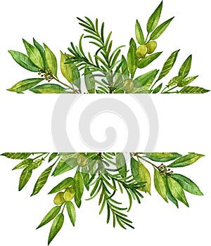 Watercolor herb illustration. A bunch of fresh culinary and medicinal herbs.