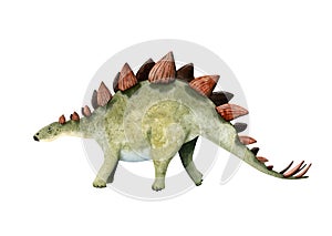 Watercolor herbivore dinosaur stegosaurus in red and green colors. Hand drawn illustration of Jurassic period