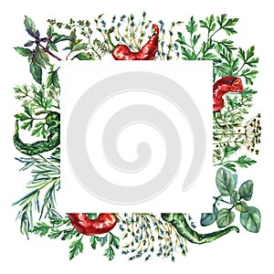 Watercolor herbs and spices frame.