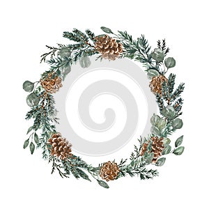 Watercolor holiday frame with eucalyptus branches, pine and fir tree twigs. Christmas wreath on white background