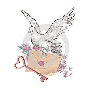 Watercolor holiday illustration with hand drawn  pigeon fly with love letter, key flowers isolated.