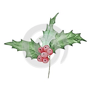 Watercolor holly berry, December month birth flower