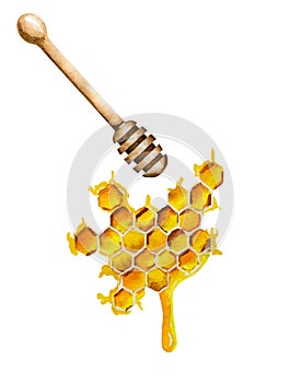 Watercolor honey spoon. Liquid honey drops isolated on white photo