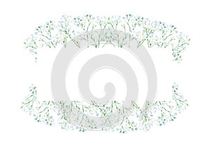 Watercolor horisontal frame with gypsophila branches. Botanical illustration isolated on white background. Can be used