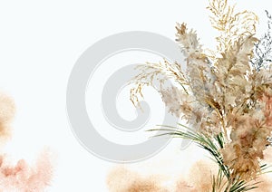 Watercolor horizontal card of dry and gold pampas grass. Hand painted tropical border of exotic dry plant isolated on