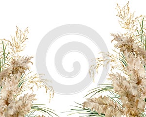 Watercolor horizontal frame of gold and green pampas grass. Hand painted linear border of exotic dry plant isolated on photo