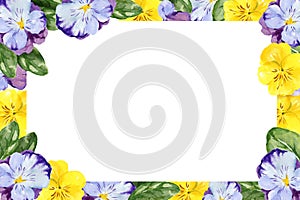 watercolor horizontal frame with hand drawn pansy flowers and leaves, violet and yellow spring flowers, summer
