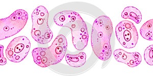 Watercolor horizontal seamless border of pink purple cells microalgae microorganisms, microscope bio algae. Concept for