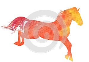 Watercolor horse silhouette