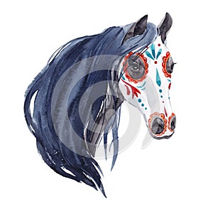 Watercolor horse vector portrait