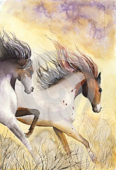 Watercolor horses in the desert