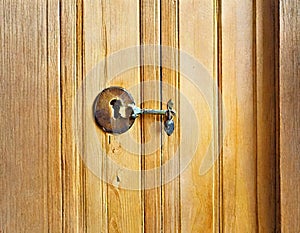 Watercolor of house key in front of a keyhole of a wooden door