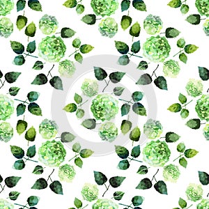Watercolor hydrangea pattern