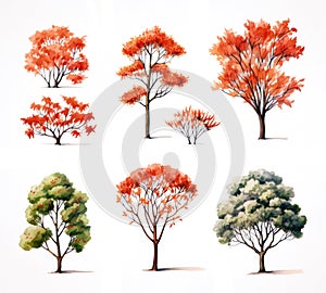 Watercolor icons set of autumn trees with red, orange and green leaves