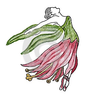 Watercolor illustration of adult flower ballerina isolated on white background. Fairy woman in green and red dress made of lily