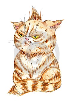 Watercolor illustration of an angry ginger cat. A kitten with displeased big yellow eyes