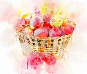 Watercolor Illustration Apples in Basket