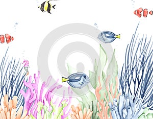 Watercolor illustration of aquarium fish with algae