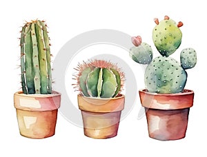 Watercolor illustration of assorted cacti in pots isolated on white background