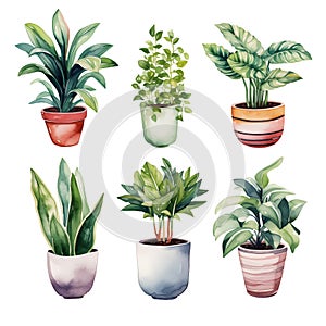 Watercolor illustration of assorted green houseplants in colorful pots isolated on white