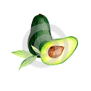 Watercolor illustration of avocado, avocado halves, avocado leaves