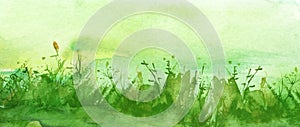 Watercolor illustration. background with vintage floral pattern - grass, wild plants of green color. Watercolor field, meadow, cou