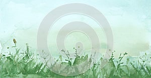 Watercolor illustration. background with vintage floral pattern - grass, wild plants of green color. Watercolor field, meadow, cou