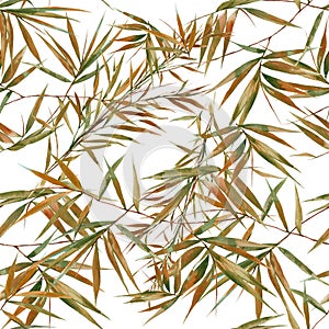 Watercolor illustration of bamboo leaves , pattern on white background