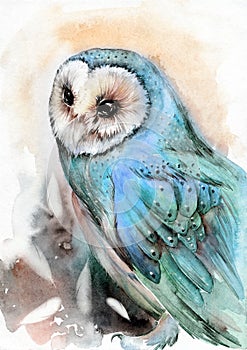 Watercolor illustration of a barn owl with spotted grey and blue feathers