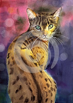 Watercolor illustration of a beautiful bengal cat with green eyes