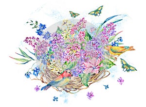 Watercolor illustration of bird`s nest and flowers