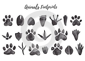 Watercolor illustration of black animal and bird trails - bear, wolf, chicken, moose, duck Paw prints