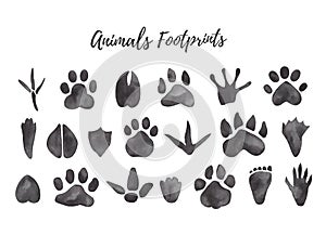 Watercolor illustration of black animal and bird trails - bear, wolf, chicken, moose, duck Paw prints