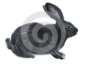 Watercolor illustration of a black bunny