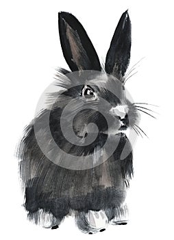 Watercolor illustration of a black bunny