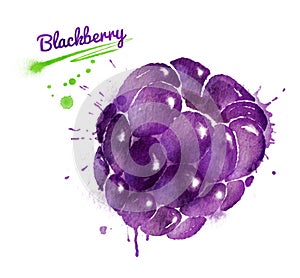 Watercolor illustration of blackberry