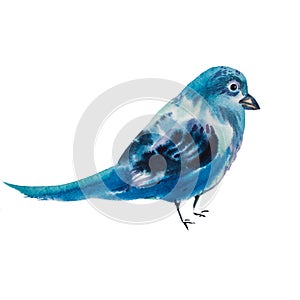 Watercolor illustration of a blue jay bird