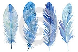 Watercolor illustration. Boho Set of blue feathers on white isolated background
