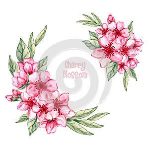 Watercolor illustration Botanical collection cherry blossom sakura foliage leaves  Set of wild and garden and abstract wreath