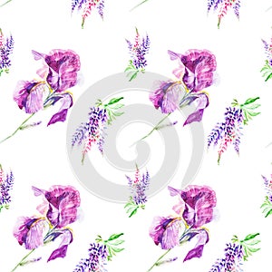 Watercolor illustration Botanical lupines and iris flowers isolated on white background. Seamless pattern