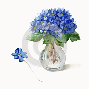 Watercolor illustration. A bouquet of blue flowers in a glass vase. Violets.