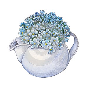 Watercolor illustration with bouquet of forget-me-nots in teapot