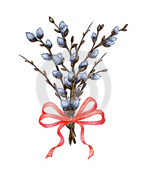 Watercolor illustration of a bouquet of willow twigs tied with a red ribbon.