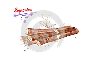 Watercolor illustration of bunch of Liquorice sticks