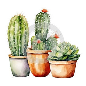 Watercolor illustration of cacti and succulent plants in terracotta pots isolated on white background