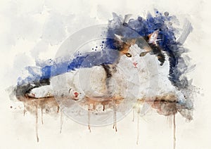 Watercolor illustration of a calico cat