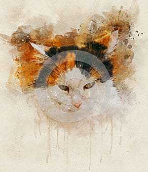 Watercolor illustration of a calico cat