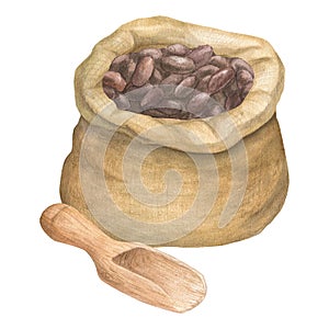 Watercolor illustration of canvas bag for cereals, seeds, flour, powder with cocoa seeds with spatula or scoop. Isolated