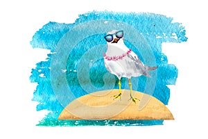 Watercolor illustration of a cartoon seagull. Seagull with glasses, watercolor drawing, on a white background